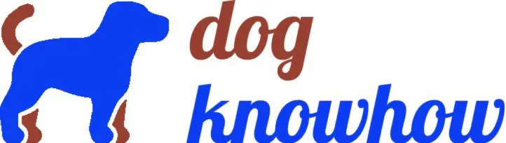 Hundeschule sucht Trainingsplatz/Wiese im Raum Zürich