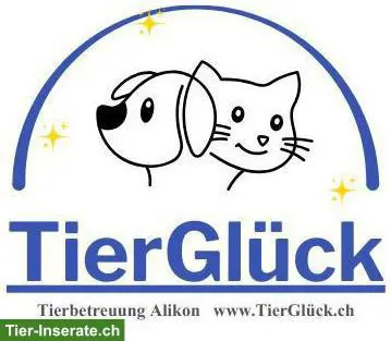 Katzenbetreuung bei TierGlück in der Region Alikon AG
