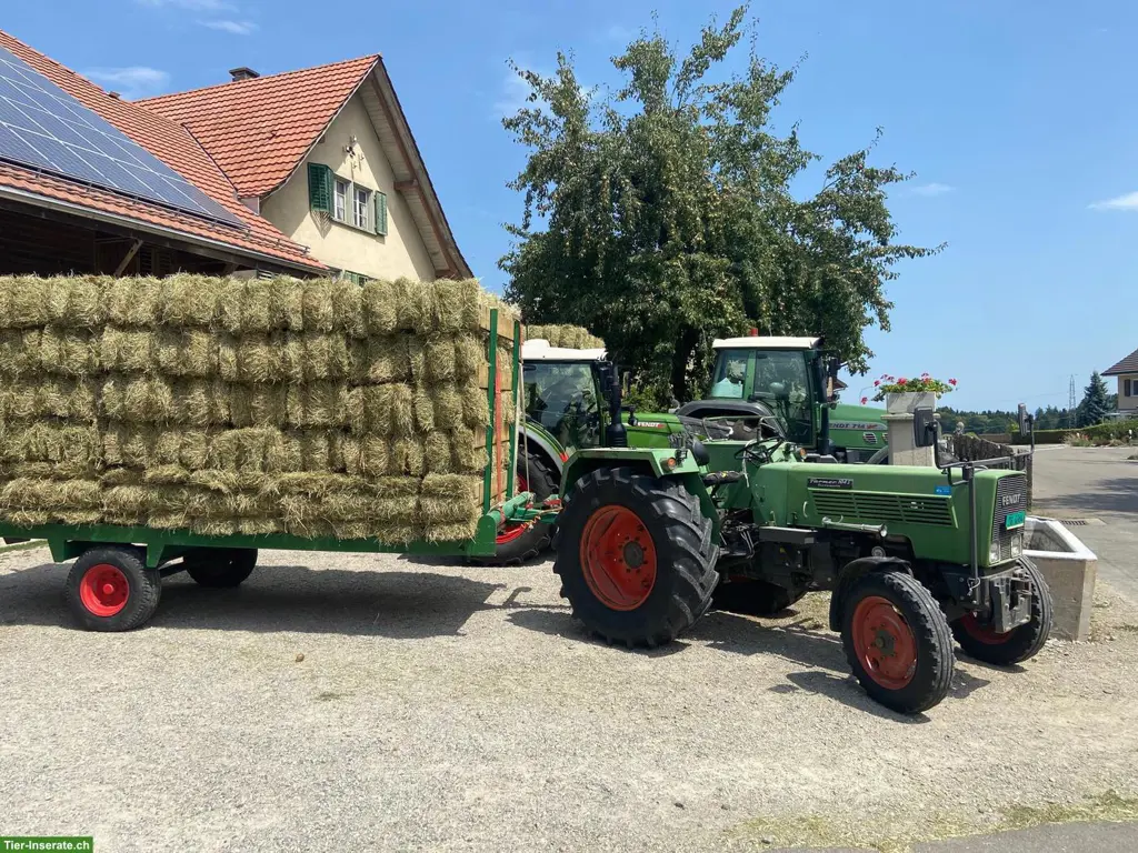 Heu in Kleinballen in TOP Qualität zu verkaufen