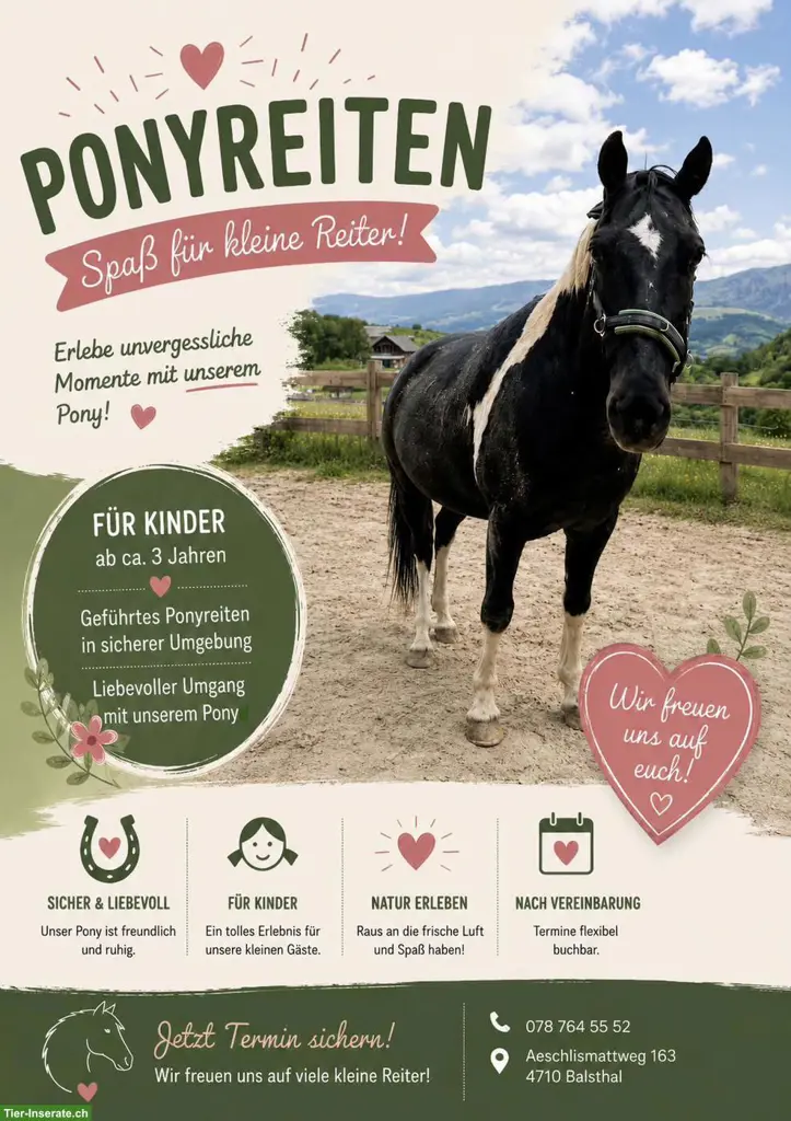 Ponyreiten für Kinder in Balsthal