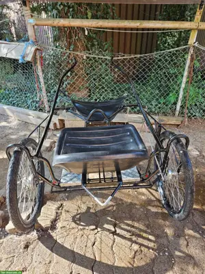 Maier Gig / Sulky (gefedert) für AMH / Mini Shetty