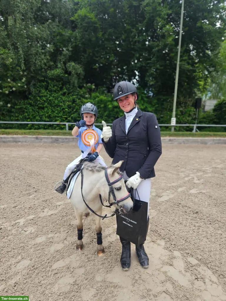 Individueller Reitunterricht im Kanton Luzern