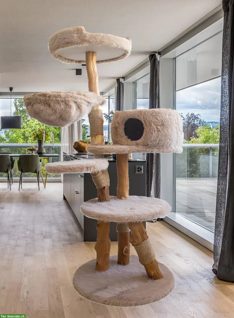 Robuster Katzenbaum aus Holz zu verkaufen